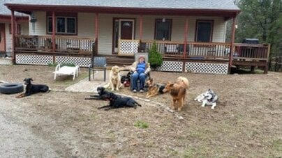 Dog Training Outdoor Yard